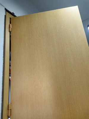 Recht binnenopende geluidsdichte deur H2425*W950*70 mm voor geluidsreductie en privacy