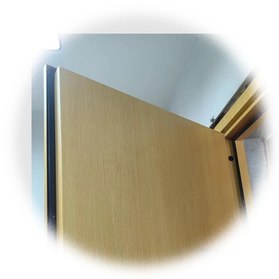 STC 40+ 3 DB geluidsdichte deur voor privacy en comfort in woongebouwen